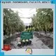 rayson nonwoven,ruixin,enviro landscaping garden fabric personalized for greenhouse 1