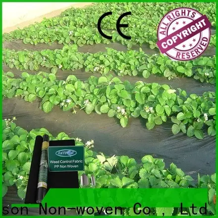 rayson nonwoven,ruixin,enviro controllable the best landscape fabric customized for outdoor 1