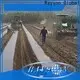 extra professional weed control fabric landscape inquire now for indoor 1