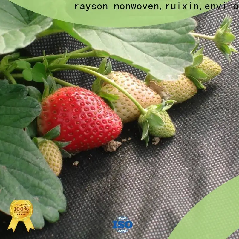Rayson-Vliesstoff, Ruixin, Enviro, praktische extrabreite Landschaftsstoffserie für den Außenbereich 1