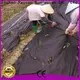 rayson nonwoven,ruixin,enviro 50gram axon non woven wholesale for farm 1