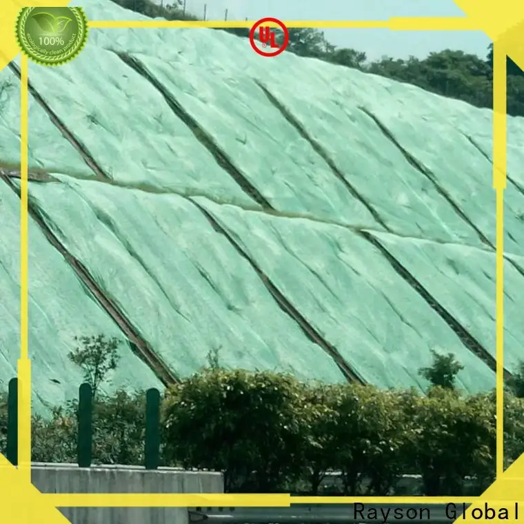 Rayson nonwoven, ruixin, mağaza için enviro renkli hidrofilik dokuma olmayan fabrika fiyatı 1