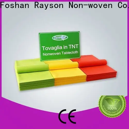 rayson nonwoven,ruixin,enviro cutting non woven bag supplier with good price for hotel 1