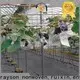 Rayson 부직포, Ruixin, Enviro 승인 야외용 정원용 직물 1