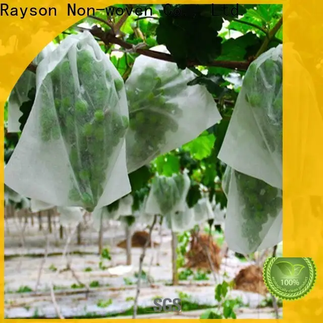 Rayson 부직포, Ruixin, Enviro 검정 담요용 부직포 심지 직물 제조업체 1