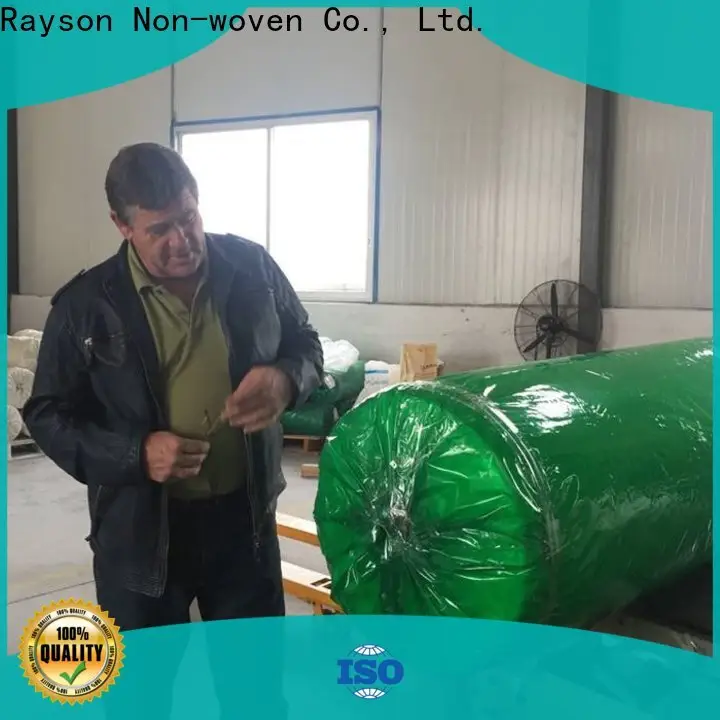 Rayson Vlies, Ruixin, Enviro Agriculture weißer Landschaftsstoff aus China für Geschäfte 1