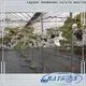 convenient black garden fabric pack directly sale for farm 1