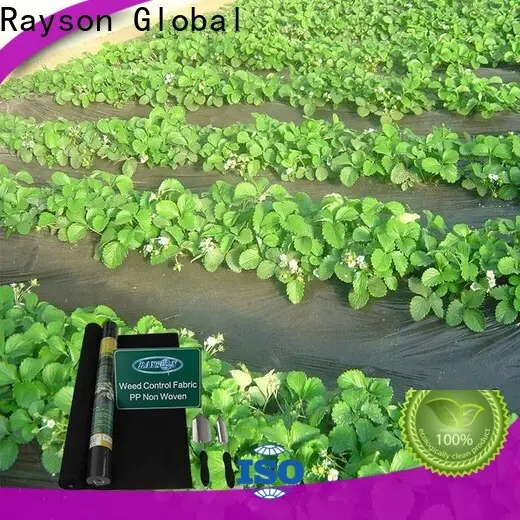 tessuto non tessuto Rayson, Ruixin, Enviro Horticultral, tessuto barriera contro le erbacce per orto, vendita diretta per esterni 1
