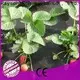 Rayson 부직포, Ruixin, Enviro Antigrass 채소밭 직물 온실 직접 판매 1
