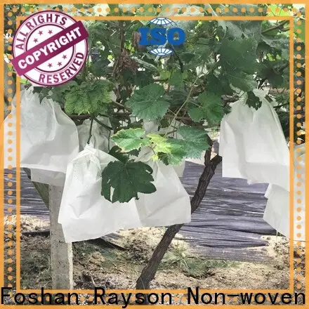 Non-tissé Rayson, Ruixin, tissu de contrôle des mauvaises herbes robuste Enviro Wide, renseignez-vous maintenant pour l'intérieur 1