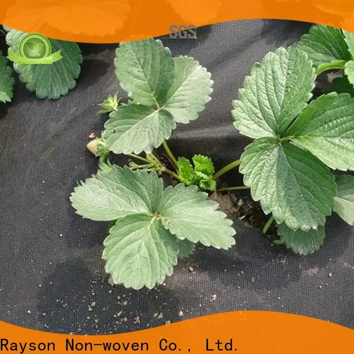 Rayson nonwoven, ruixin, enviro frost sera için geniş peyzaj kumaş serisi 1