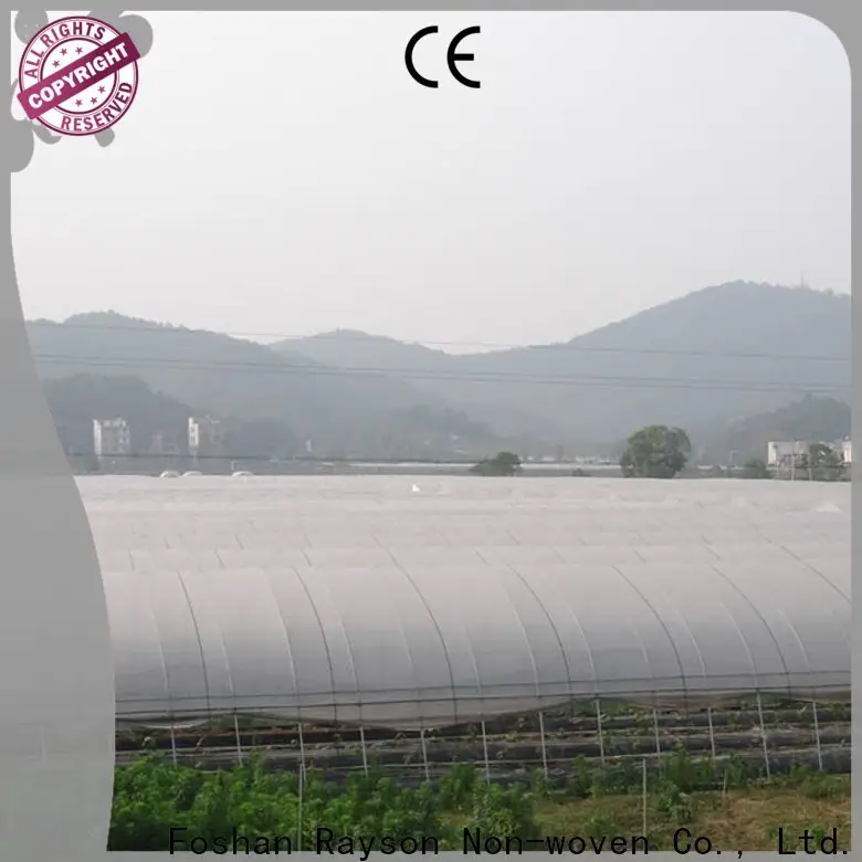 Rayson-Vliesstoff, Ruixin, Enviro Extra-Gartenstoffeinlage mit gutem Preis für die Decke 1