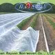 Rayson-Vliesstoff, Ruixin, umweltfreundliche Landschaftsstoff-Bodenbedeckung aus China für Gewächshäuser 1