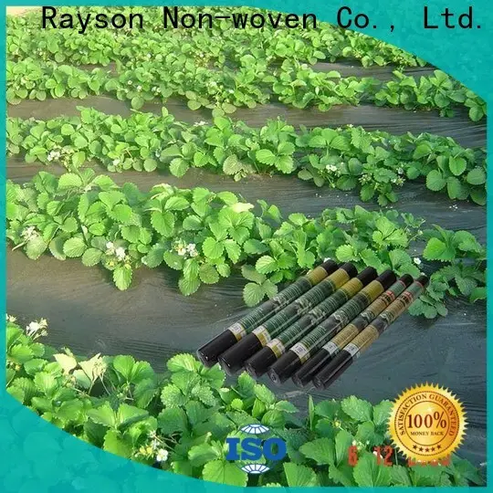 Rayson-Vliesstoff, Ruixin, Enviro-Spunbond-Nptel-Vliesstoff aus China für Kleidung 1