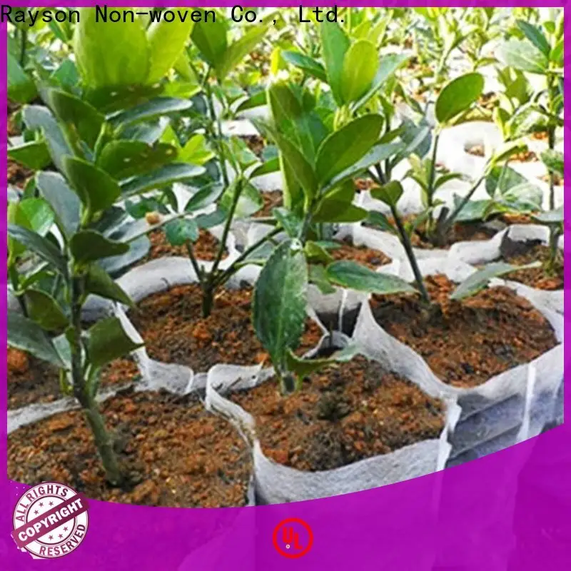 rayson nonwoven,ruixin,enviro agriculture surya non woven customized for store 1