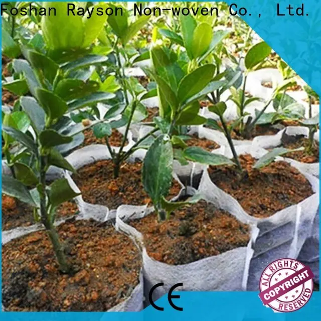 rayson nonwoven,ruixin,enviro embossed water permeable landscape fabric from China for shops 1
