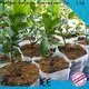 rayson nonwoven,ruixin,enviro embossed water permeable landscape fabric from China for shops 1