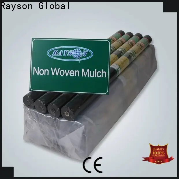Rayson 부직포, Ruixin, Enviro 양각 방수 조경 직물 공장 가격 1
