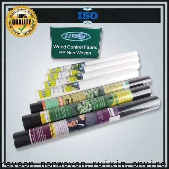 Rayson nonwoven, ruixin, enviro haddelenmiş kabartmalı dokuma olmayan kumaş fabrika fiyatı ev için 1