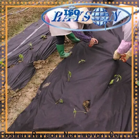 Rayson nonwoven, ruixin, enviro renkli ağır hizmet tipi peyzaj kumaş sarma için fabrika fiyatı 1