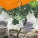 Rayson no tejido, ruixin, proveedor de telas de paisaje biodegradable enrolladas enviro para tienda 1