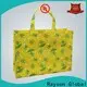 rayson nonwoven,ruixin,enviro zipper non woven carry bags design for bag 1