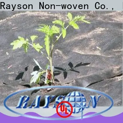 rayson nonwoven,ruixin,enviro stabilized fiberglass landscape fabric supplier for greenhouse 1