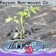 rayson nonwoven,ruixin,enviro stabilized fiberglass landscape fabric supplier for greenhouse 1