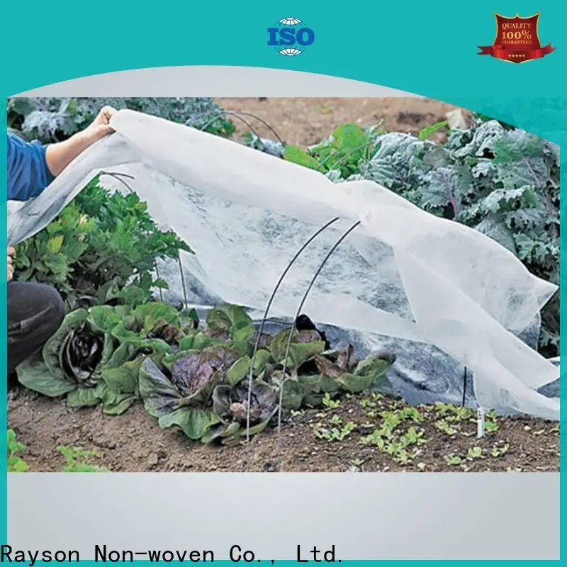 ceket için rayon nonwoven, ruixin, enviro ekstra monadnock dokumasız tasarım 1