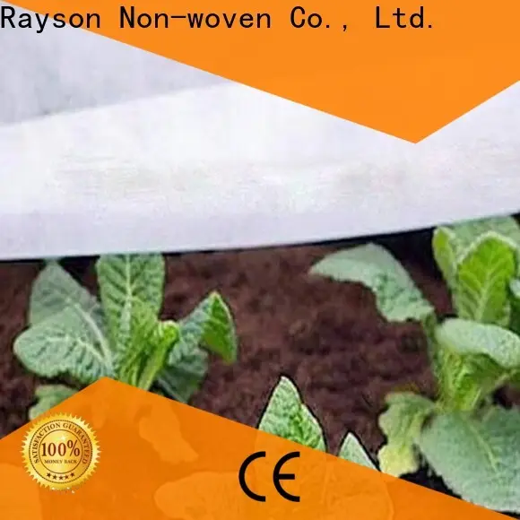 Rayson 부직포, Ruixin, Enviro는 온실을 위해 중국에서 조경 직물 배수 장치를 만들었습니다. 1