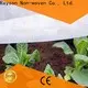 Rayson 부직포, Ruixin, Enviro는 온실을 위해 중국에서 조경 직물 배수 장치를 만들었습니다. 1
