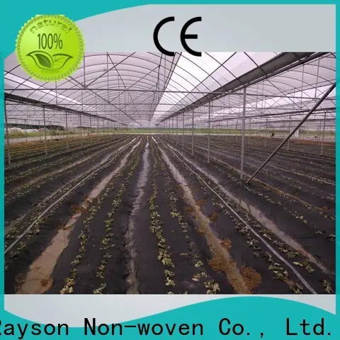 Rayson non tissé, ruixin, série de tissus de potager de qualité enviro pour serre 1