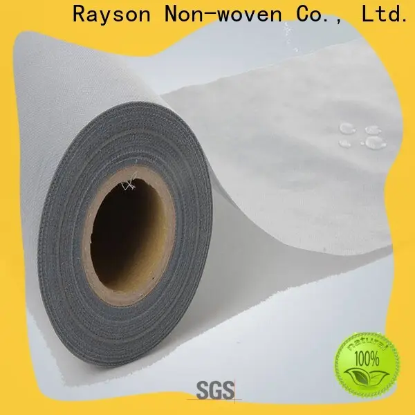 Rayson nonwoven, ruixin, ev için kişiselleştirilmiş enviro renkli dokuma olmayan polyester kumaş üreticisi 1