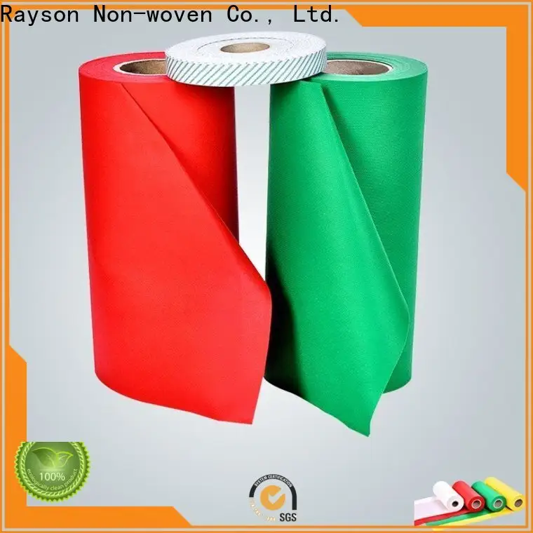 Rayson 부직포,Ruixin,Enviro 우수 범위 식탁보 가방 문의 1