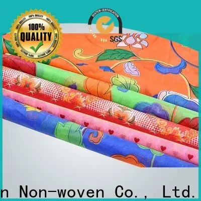 Rayson nonwoven, ruixin, enviro renkli 6 oz dokuma olmayan geotekstil kumaş serisi kapaklar için 1