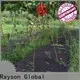 덮음용 Rayson 부직포 ODM 회색 조경 직물 회사 1