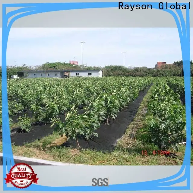 Rayson 부직포는 온실용 채소밭 직물 회사를 덮습니다. 1