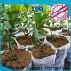 Rayon nonwoven ODM ot kontrol bezi kumaş fiyatı ceket için 1