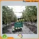 Custom vegetable garden fabric light supplier for outdoor 1
