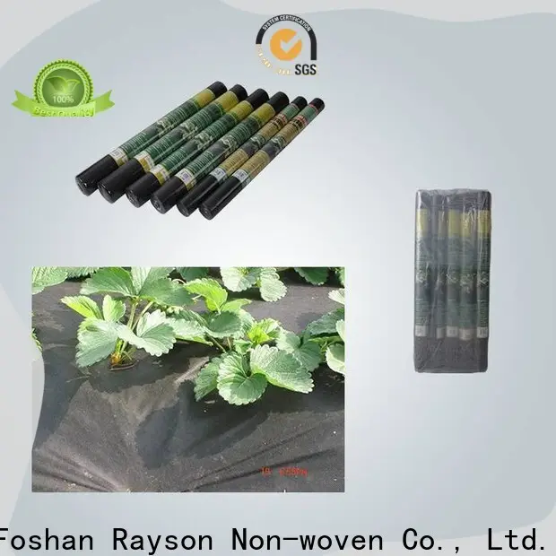 Rayson nonwoven Toplu satın alma peyzaj kumaş malzemesi giyim için toplu olarak 1