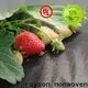 屋外用の一括購入typar景観布地材料工場 1