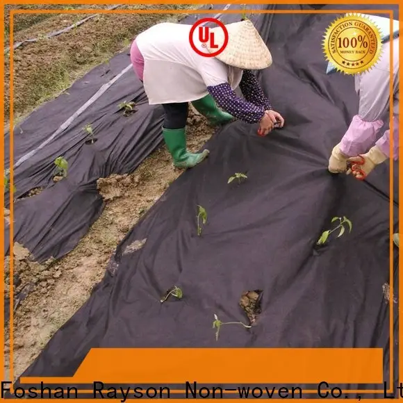 आउटडोर के लिए रेयसन नॉनवुवेन थोक में टाइपर लैंडस्केप फैब्रिक निर्माता खरीदें 1