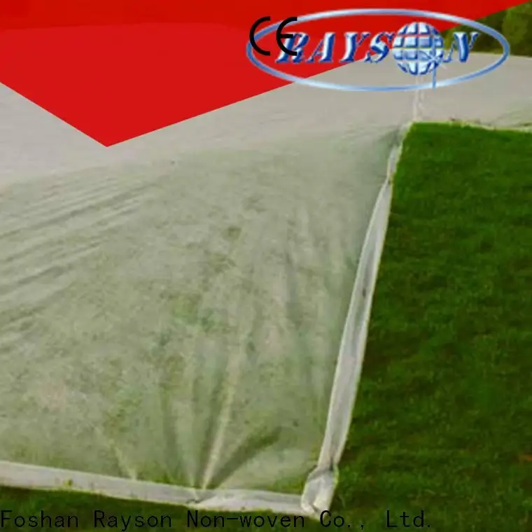 rayson nonwoven fruit embossed non woven fabric supplier for store 1