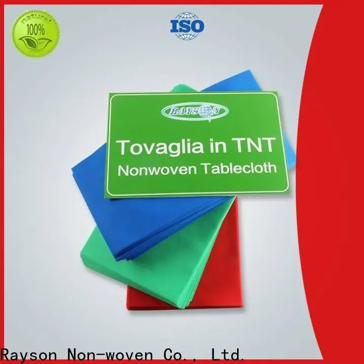 rayson nonwoven small tablecloth price 1
