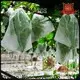 rayson nonwoven Rayson best weed control fabric in bulk for blanket 1