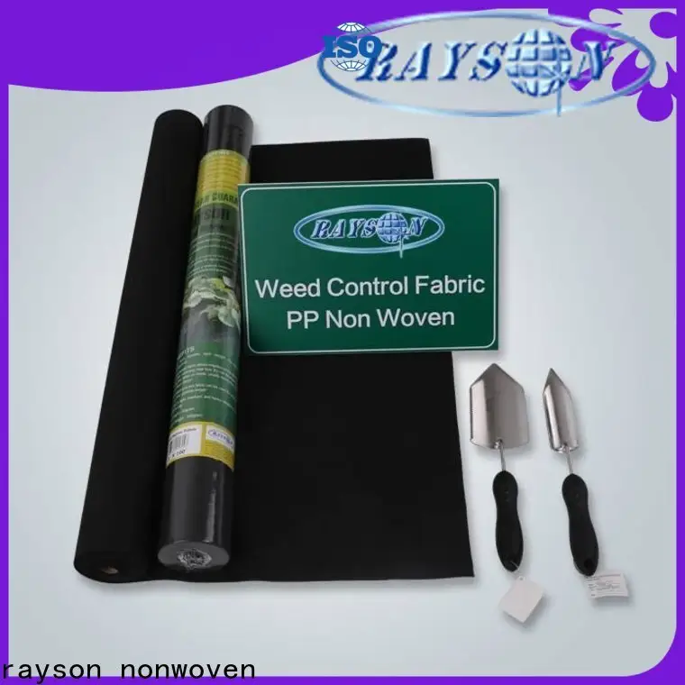 rayson nonwoven Rayson vegetable garden fabric supplier for farm 1