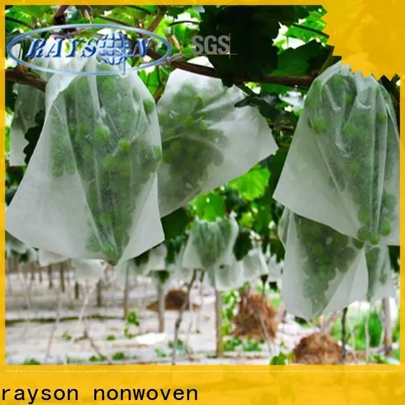 rayson nonwoven ODM biodegradable garden fabric supplier for indoor 1