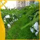 Bulk buy industrial weed control fabric brand factory for blanket 1