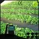 rayson nonwoven anti typar landscape fabric company for farm 1