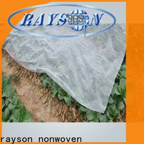 rayson nonwoven agricultural industrial weed control fabric supplier for outdoor 1